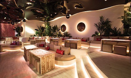 8.-Pacha-Bcn